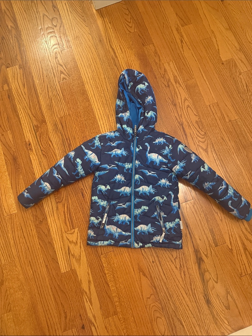 Hatley Blue Kids Winter Jacket Dinosaurs